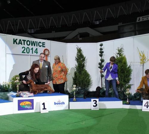 Katowice 2014 - vice BOG